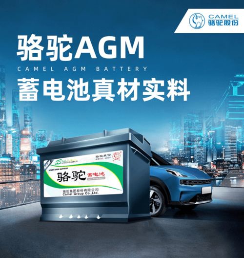 駱駝蓄電池 助力高考，絕不虧電，一路狂奔向未來(lái)
